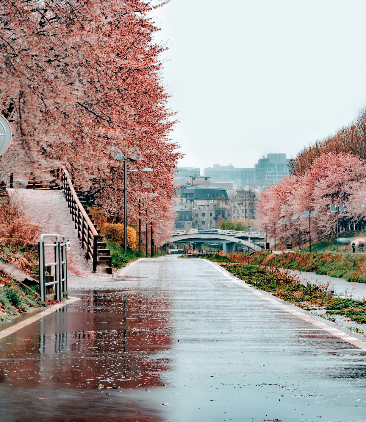 SEOUL